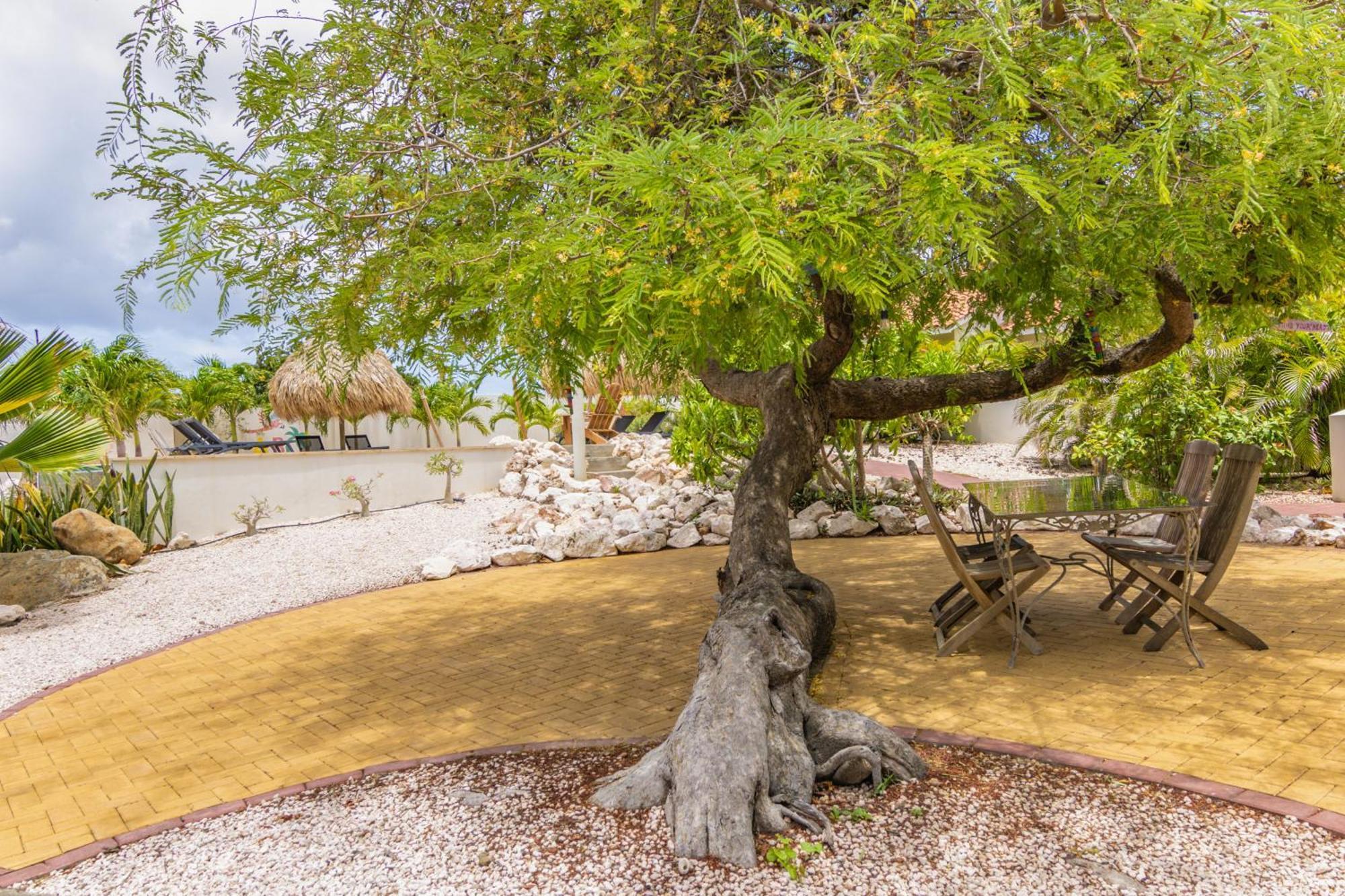 Abc Lodges Curacao Willemstad Exteriör bild
