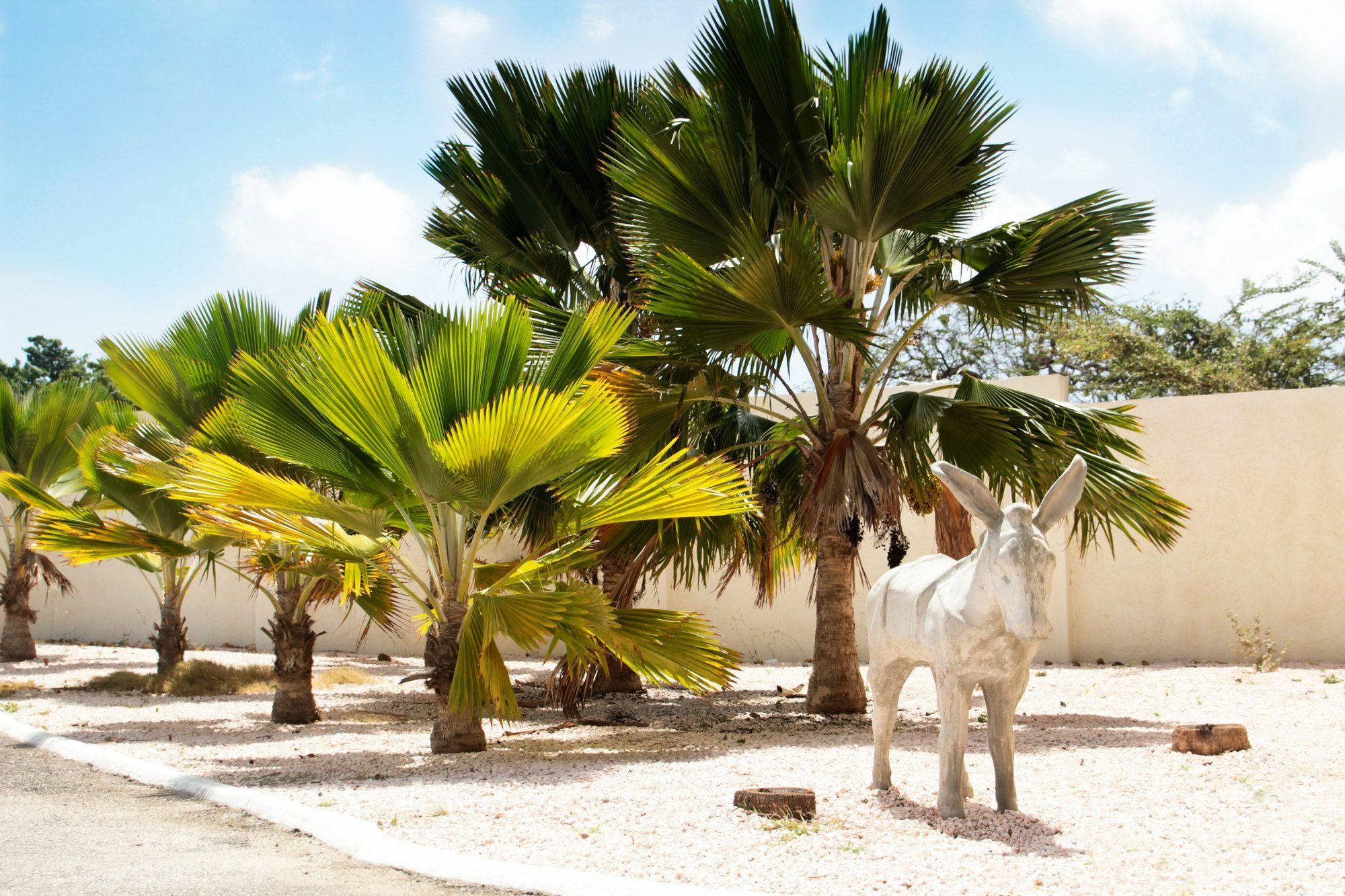 Abc Lodges Curacao Willemstad Exteriör bild
